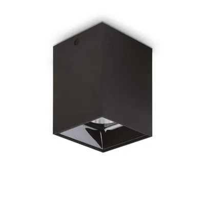Lampa cu montaj pe tavan Nitro pl square d10 Negru