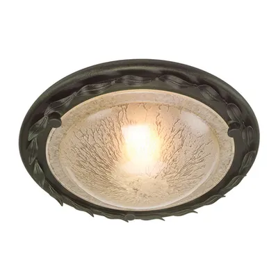 Corp de iluminat decorativ pentru exterior, Olivia 1 Light Flush – Black/Gold