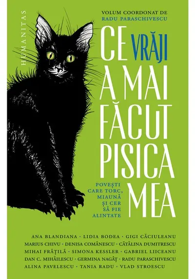 Ce vraji a mai facut pisica mea