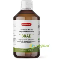 Concentrat din Plante Ceai de Medicinale Brad 250ml