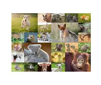 Puzzle clasic - Pui de animale - 200 piese
