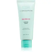 BRINGGREEN Tea Tree Cica Soothing Cream Plus cremă intens hrănitoare cu efect calmant 100 ml