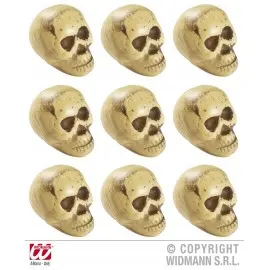 Set capete schelet