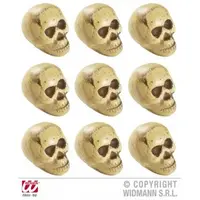 Set capete schelet