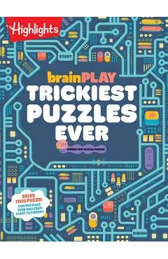 Brainplay Trickiest Puzzles Ever
