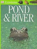 Pond And River