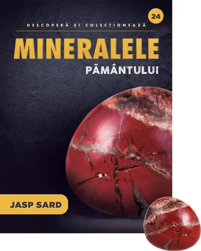 Jasp sard. Volumul 24. Mineralele Pamantului