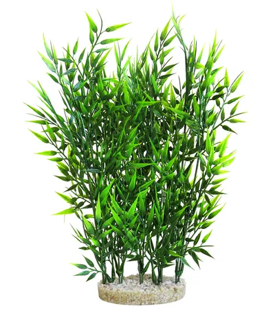 Sydeco Planta Hedge Maxi 38 cm 380060