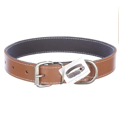 Zgarda din piele, maro, pentru caini de talie medie, 3 cm x 60 cm