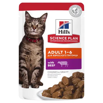 Hills Sp Feline Adult Beef 12x85 G (plicuri)