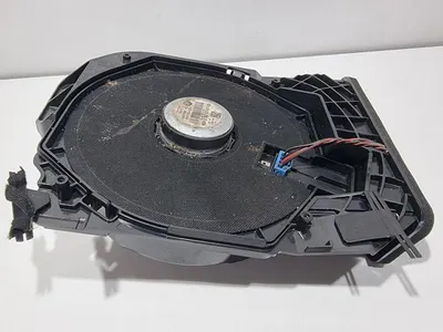 Subwoofer stanga fata 9210147 BMW Seria 3 (2011-2019) [F30]