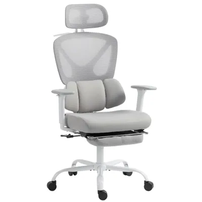 HOMCOM Scaun de birou ergonomic, fotoliu de birou cu suport lombar dinamic adaptiv, 73x75x120-128cm, gri | Aosom Romania