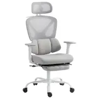 HOMCOM Scaun de birou ergonomic, fotoliu de birou cu suport lombar dinamic adaptiv, 73x75x120-128cm, gri | Aosom Romania