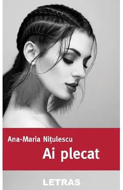 eBook Ai plecat