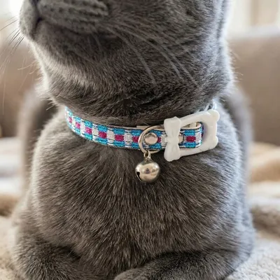 Zgardă cu clopoțel, pentru pisici, colecția Cats, 30 cm, culoarea albastru