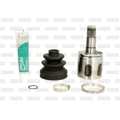 Set articulatie, planetara PASCAL G75023PC