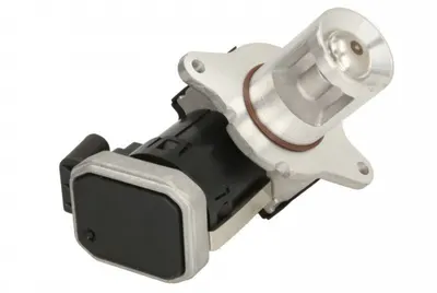 Supapa Egr Potrivit Mercedes C (cl203), C T-Model (s203), C (w203), Vito Mixto (w639), Vito (w639) 2.2d 3.0d 09.02