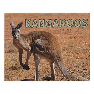 Kangaroos
