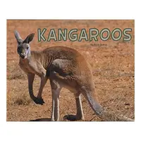 Kangaroos