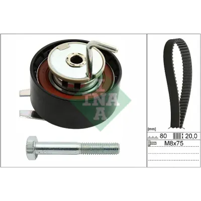 Set curea de distributie INA 530 0692 10