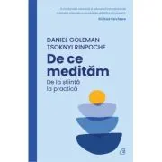 De ce meditam. De la stiinta la practica