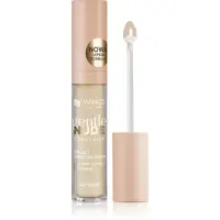 AA Wings of Color Gentle Nude Concealer corector lichid culoare 402 Beige 6.2 g