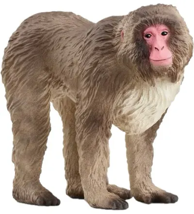 Figurina Schleich Wild Life - Macacul japonez