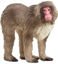 Figurina Schleich Wild Life - Macacul japonez
