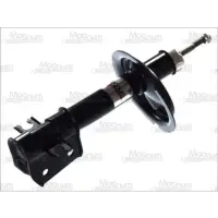 Amortizor Magnum Technology AHF034MT