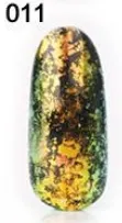 Pigment Unghii Chrome NP013, 2gr - 11