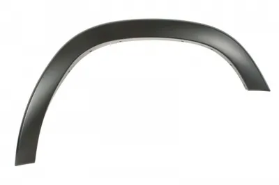 Elemente decorative protectie aripa fata dreapta (grunduit) potrivit RAM TRUCK RAM V 05.18