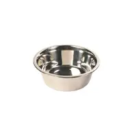 Castron inox pentru apa litri 2,6 l