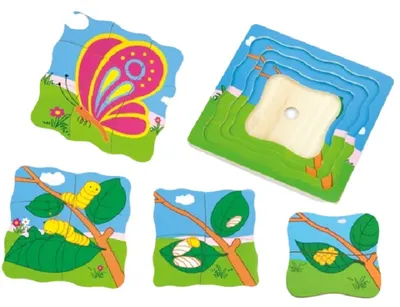 Puzzle educațional Viga - Evoluția unui fluture