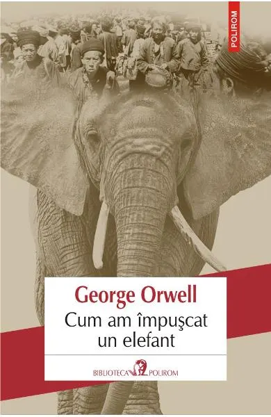 Cum am impuscat un elefant