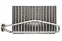 Evaporator aer conditionat potrivit MERCEDES ACTROS, ACTROS MP2 MP3 OM541.920-OM542.969