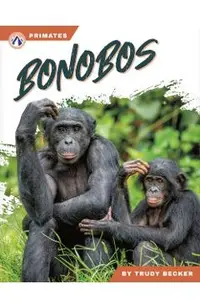Bonobos