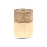 Difuzor de parfum electric Smart – Gingko
