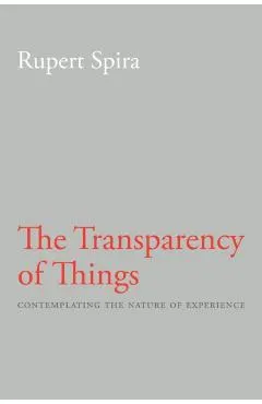 The Transparency of Things: Contemplating the Nature of Experience