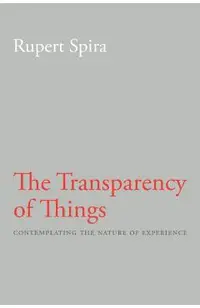 The Transparency of Things: Contemplating the Nature of Experience