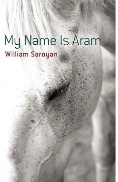 My Name Is Aram