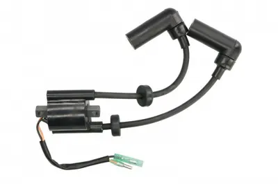 Bobina inductie PARSUN F15; F9.9