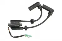 Bobina inductie PARSUN F15; F9.9
