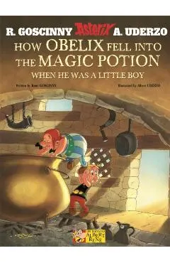 How Obelix Fell into the Magic Potion