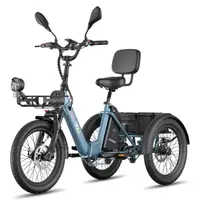 Tricicletă electrică FAFREES F20 Mate II, baterie de 48V 21Ah