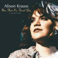 Now That I've Found You: A Collection - Vinyl