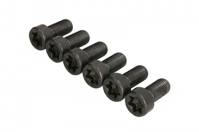 Set surub volanta potrivit BMW 1 (E81), 1 (E82), 1 (E87), 1 (E88), 1 (F20), 1 (F21), 2 (F22, F87), 2 (F23), 3 (E90), 3 (E91), 3 (E92), 3 (E93), 3 (F30, F80), 3 (F31) 1.6-3.0 06.04-06.21