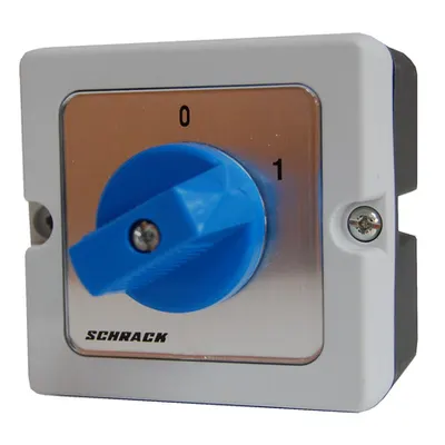 Intreruptor capsulat 2p 20A