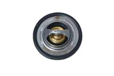 Termostat lichid racire (75 C) potrivit RENAULT CLIO III 2.0 02.06-12.14