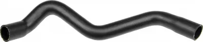 Furtun radiator inferior (31mm 31mm) potrivit VW GOLF III, VENTO 1.4 1.6 08.91-04.99