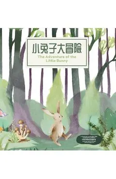 The Adventure of the Little Bunny